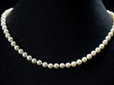 un collier de perles blanches sur un mannequin mannequin mannequin mannequin mannequin mannequin mannequin mannequin mannequin mannequin