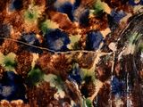 a close up of a glass of water on a table