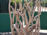 a large piece of drift wood sitting on the ground