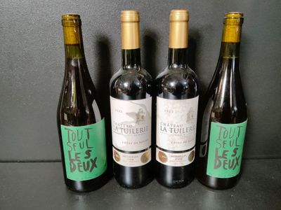 Lot de 12 bouteilles de vin rouge dont : Tout Seul Les Deux … - Photo 1