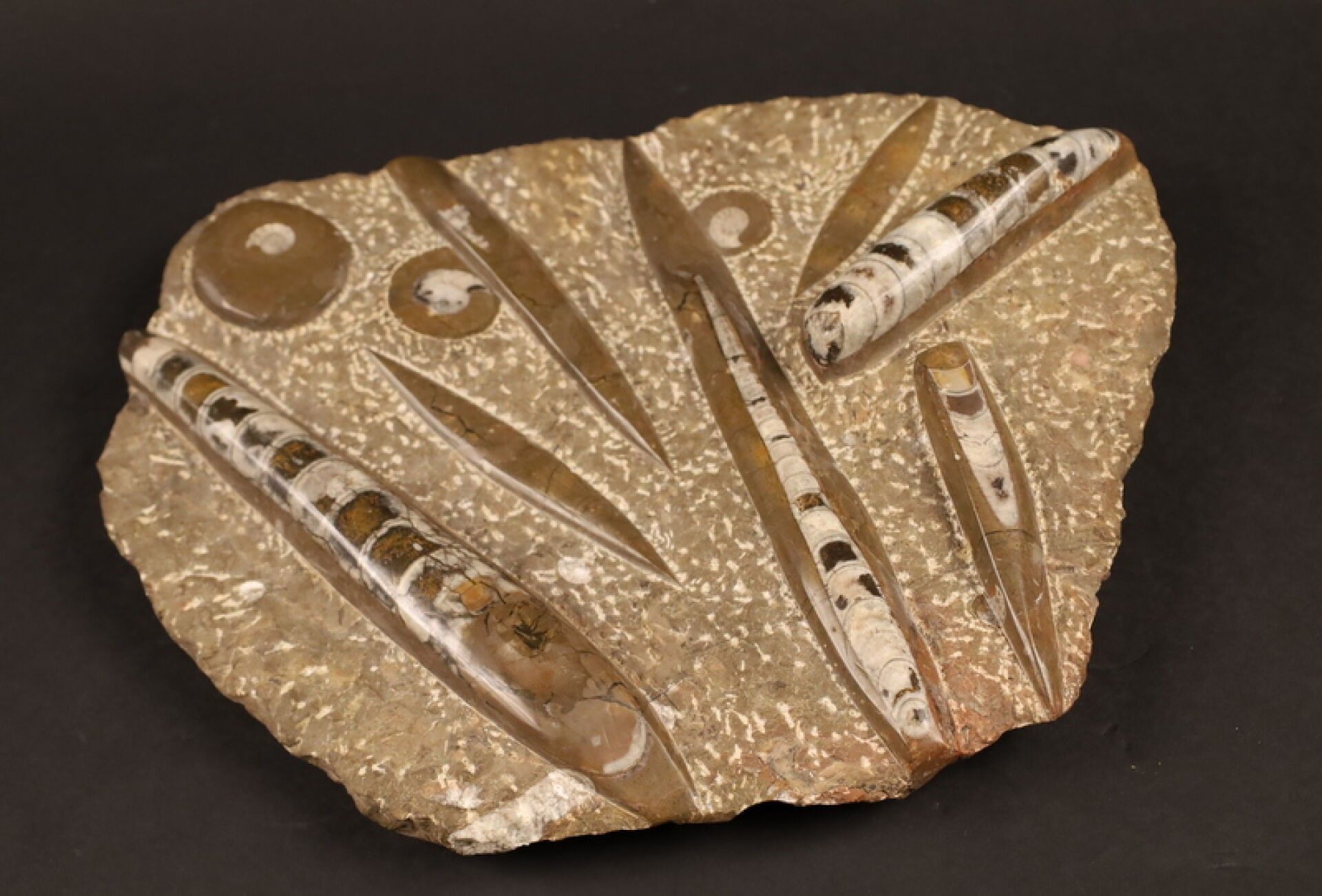 Objets d'art & Curiosités