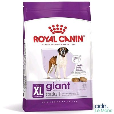 Royal Canin Giant Giant Adult : croquettes pour chiens adultes de grande taille