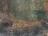 a painting of a bear that is standing in the dirt