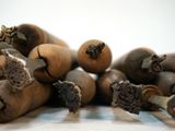 a pile of old wooden screws sitting on a table