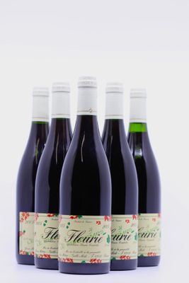 quatre bouteilles de vin rouge sont alignées sur une surface blanche