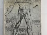 un vieux livre sur lequel figure le dessin du torse d'un homme