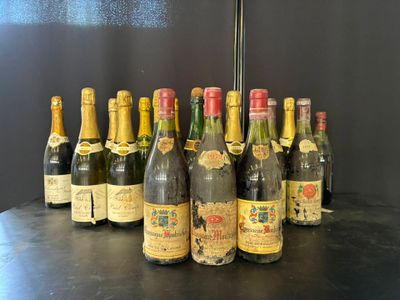 Des bouteilles de vin sont alignées sur une table devant un mur noir