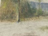 a picture of a painting of a tree in the middle of a field