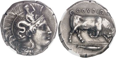 a close up of a coin with an image of a bull on it