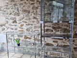 une étagère en verre sur laquelle est posée une plante, dans un coin de la pièce