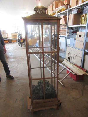 une vitrine contenant plusieurs plantes