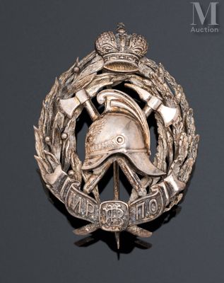 an image of a silver badge with a helmet on top of it