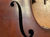 the back of a double bass with the strings still attached to it