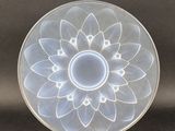 une plaque de verre ornée d'un motif floral