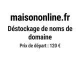 Photo 1/1 du lot