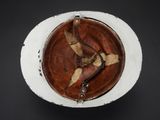 an overhead view of a brown and white plate with a bird on it
