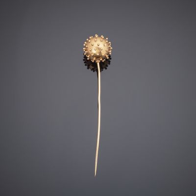 an image of a single flower head on a stick