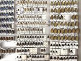 a lot of beetles that are on display in a store