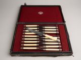 a case with a set of knives in it on a table