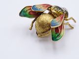 a gold beetle with colorful wings on a white surface