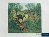 une image représentant un lézard dans la jungle