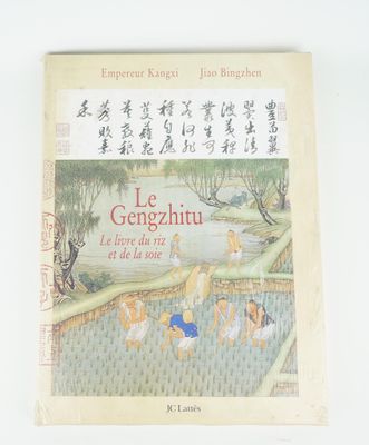 a picture of a book with chinese characters on it