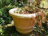 a large pot with plants in it sitting in the grass