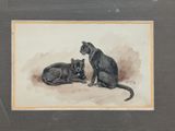 two cats that are sitting next to each other