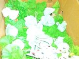 a cardboard box filled with lots of green and white flowers