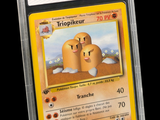 carte à collectionner Pokémon sur laquelle figure l'image d'une paire d'œufs