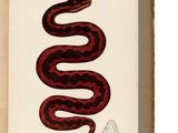 un livre ouvert dont la couverture est ornée d'un serpent rouge