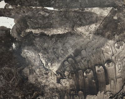 une photo en noir et blanc d'un morceau de bois brûlé