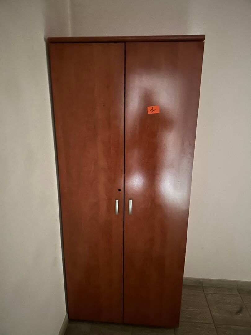 Armoire haute en bois deux portes