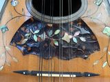 a close up of a guitar that has a design on it
