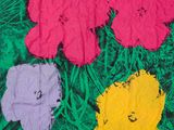 quatre fleurs de couleurs différentes sur un fond vert