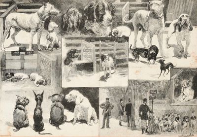 un collage de photos de chiens et de personnes dans une grange