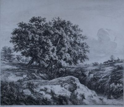 dessin représentant un paysage avec un arbre et un mouton au premier plan