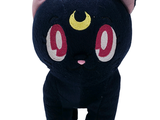 a black cat with red eyes and a crescent on its head