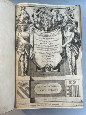 un livre ouvert sur lequel figure le dessin d'un blason et un blason