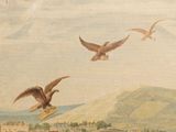 two birds that are flying in the sky above the water