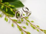a close up of a silver ring on a branch of a plant