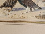 two birds that are standing in the snow