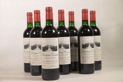 six bouteilles de vin rouge sont alignées sur une surface blanche