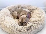 un petit chien qui dort dans un panier pour chien