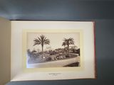 a picture of a picture of a street with palm trees in it