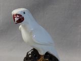 a white bird sitting on a rock with a red beak