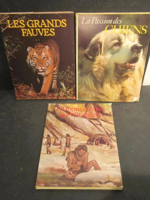 trois livres pour enfants posés sur une table, avec un chien et un tigre