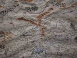 a map of a country with a lot of trees on it
