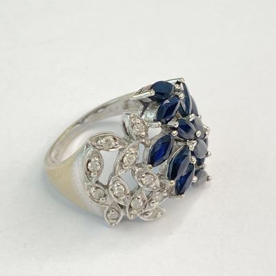 une image représentant un anneau bleu et blanc sur un fond blanc