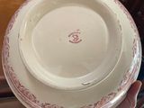 a person holding a plate with a red design on it